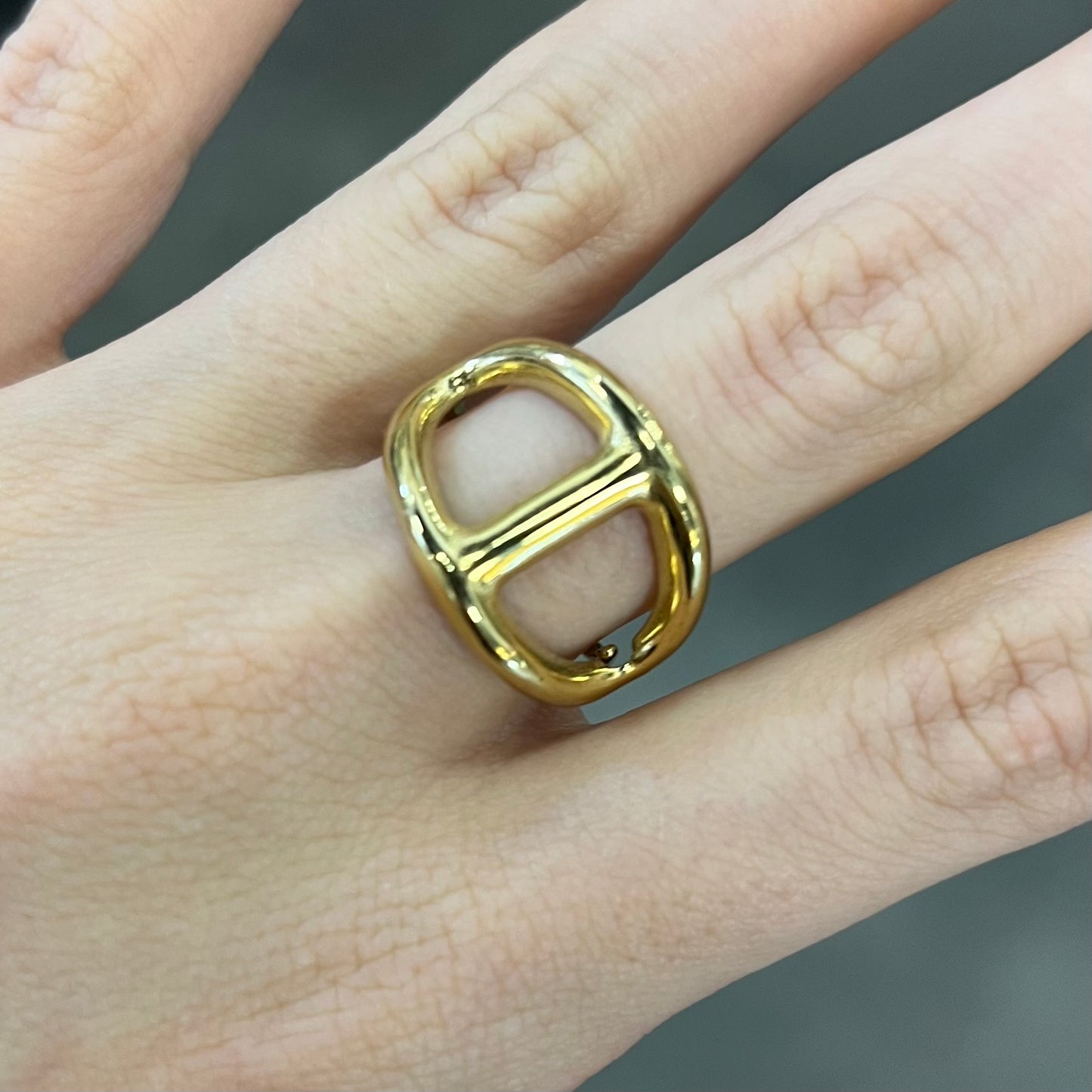 bague acier inoxydable (73)