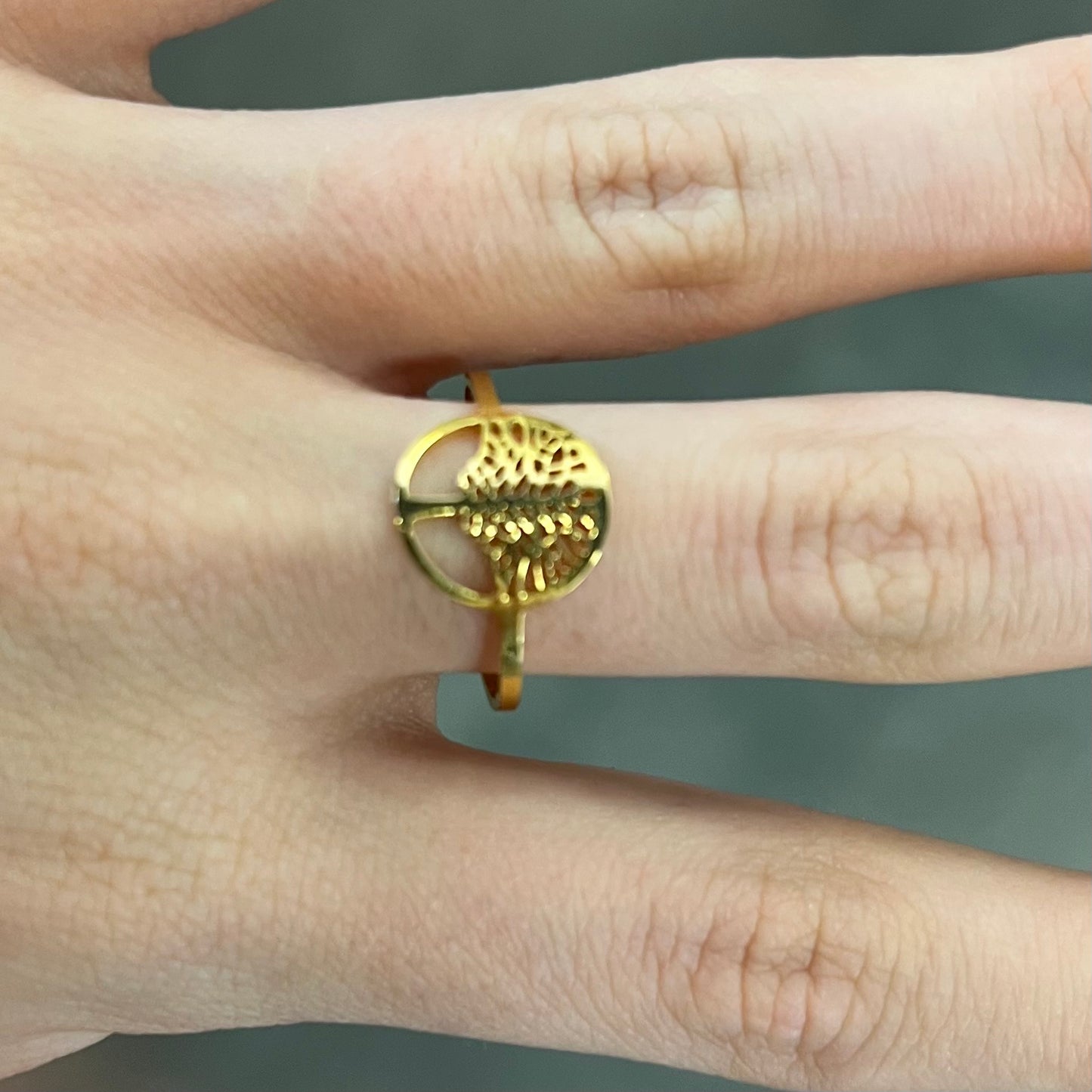 bague acier inoxydable (80)