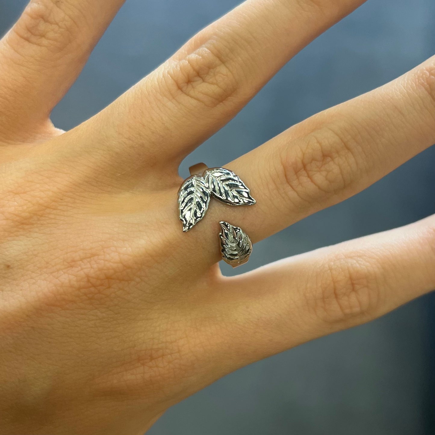 bague acier inoxydable (47)