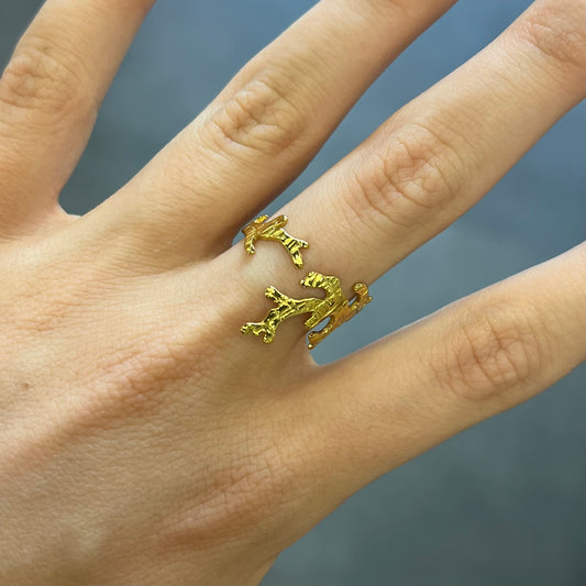 bague acier inoxydable (34)